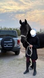⁦فلكس | FLEX⁩ - الصورة ⁦4⁩